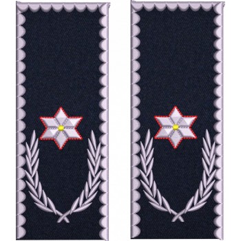 GRADE CHESTOR POLITIE IGPR